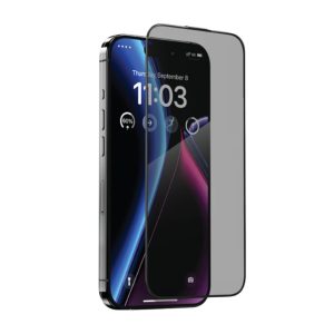 Pandillo Matte Tempered Glass - iPhone 16 Plus